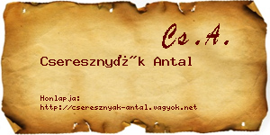 Cseresznyák Antal névjegykártya