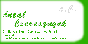 antal cseresznyak business card